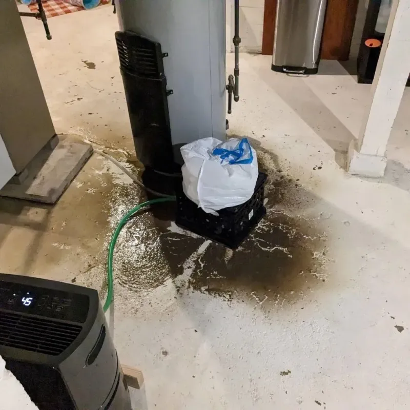 Sewage Backup Cleanup Service in Blackstone, MA
